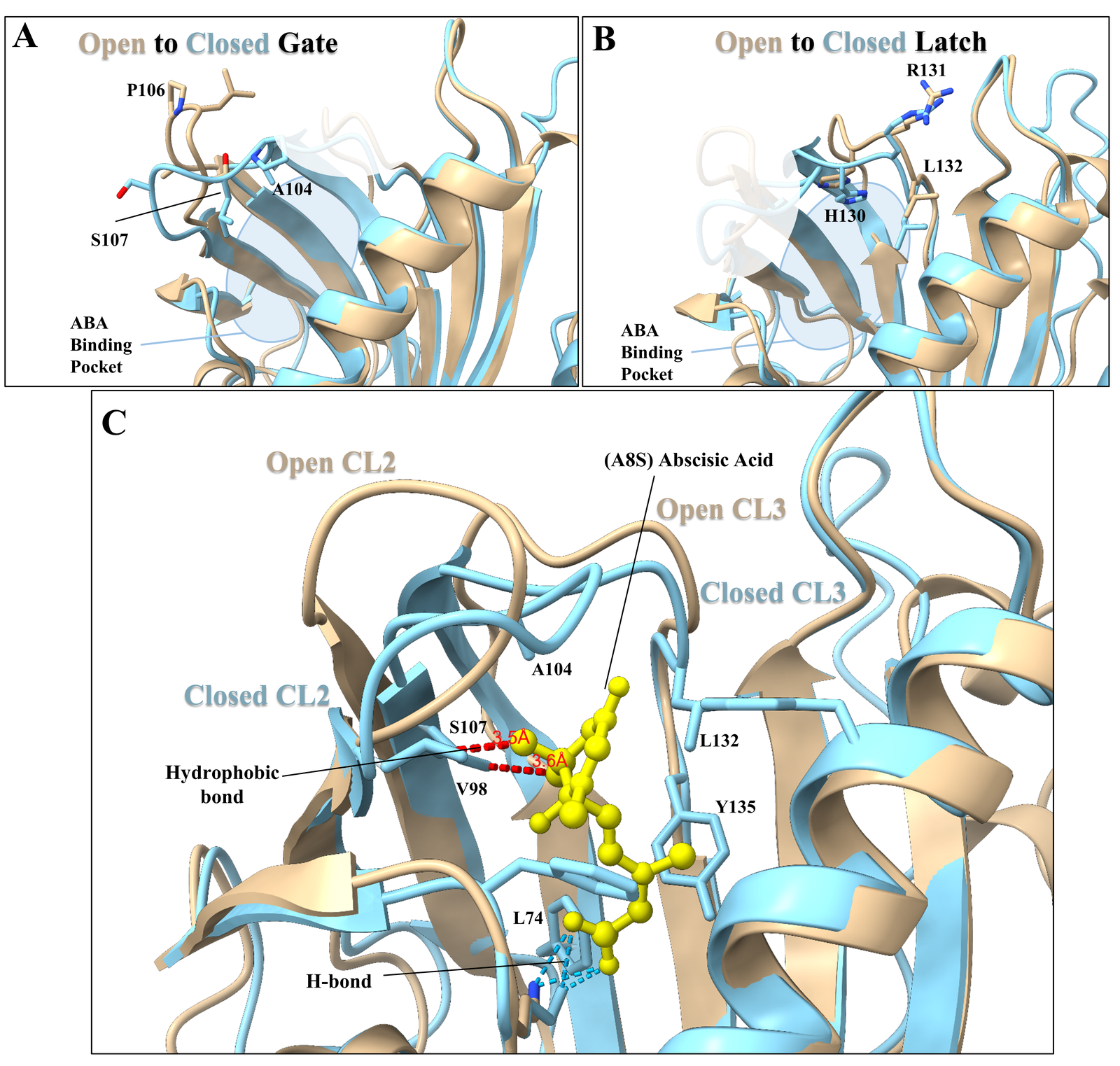 CRISPR-MD genome editing — molecular dynamics guided target