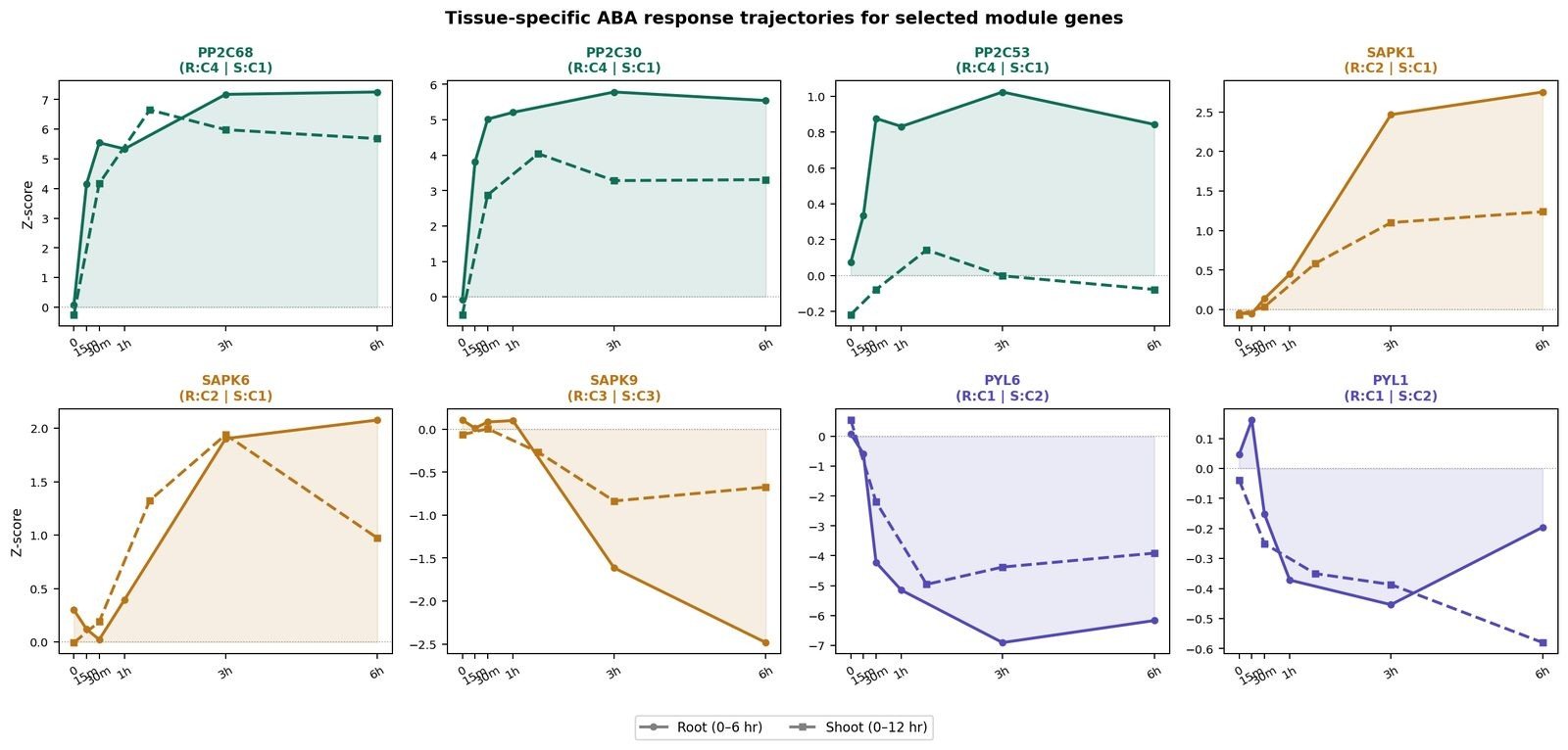 CRISPR rice — protein interaction assay