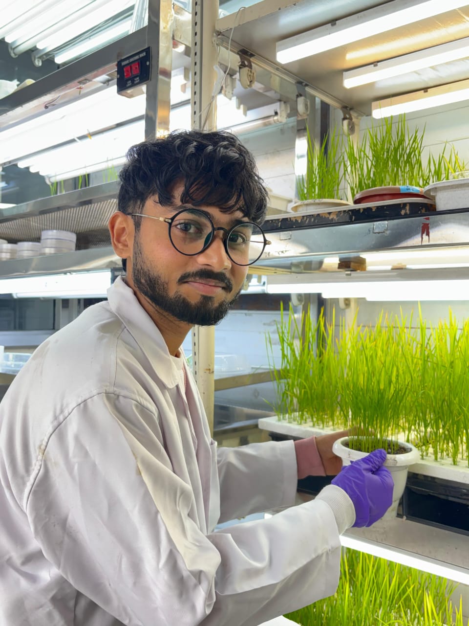ICAR-IARI lab work