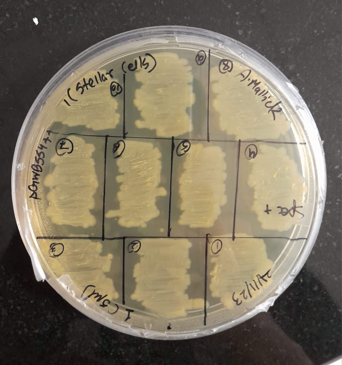 Plant Stress Biology Lab
